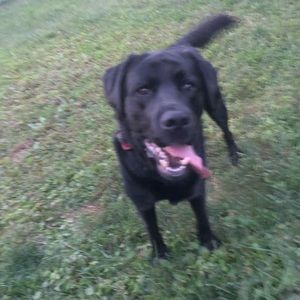 Meet your Posher, Brooke